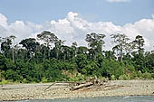 Canoe journey down the rivers of the Madre de Dios department in the Manu reserve